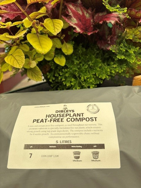 Bag of Dibleys Houseplant Peat-Free Compost
