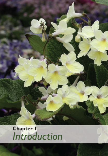 Streptocarpus Book