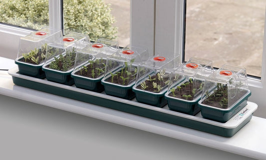 Super 7 Electric Windowsill Propagator