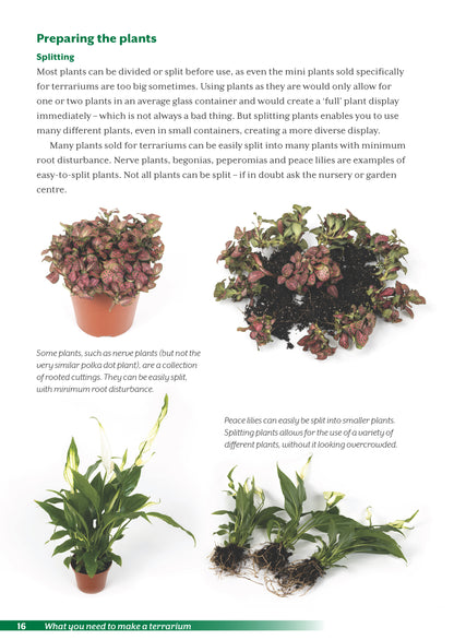 Terrariums - A Beginner’s Guide 2nd edition by Manos Kanellos (book)