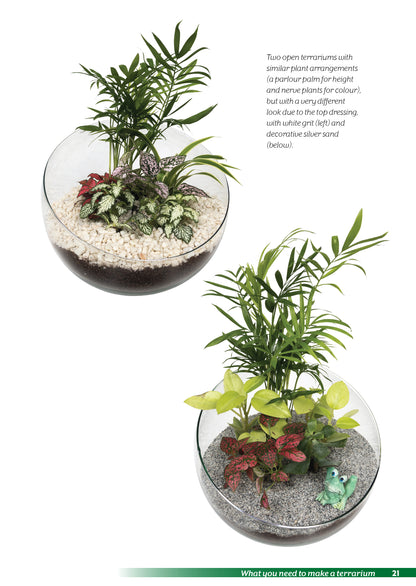 Terrariums - A Beginner’s Guide 2nd edition by Manos Kanellos (book)