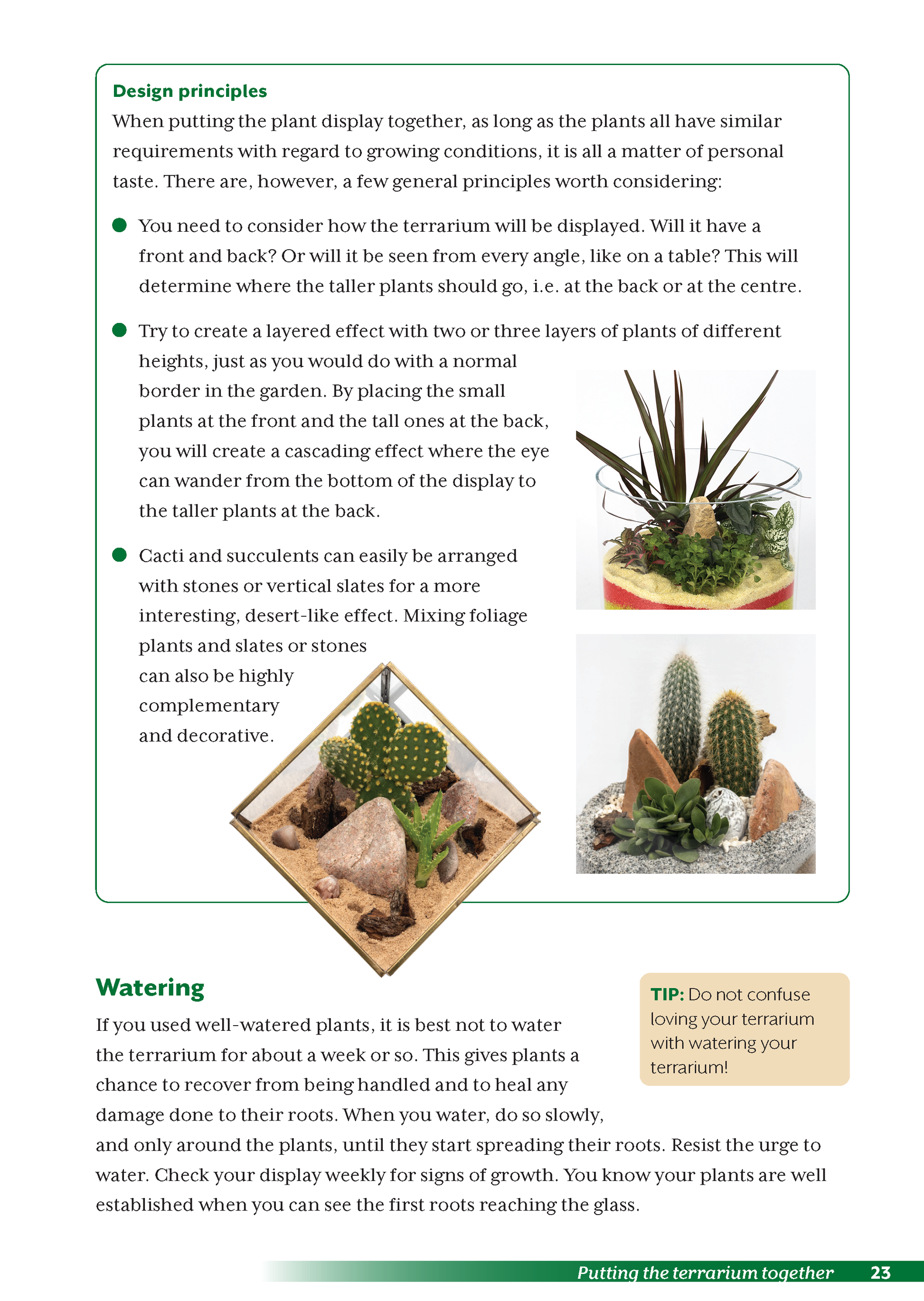 terrarium planting guide Terrariums