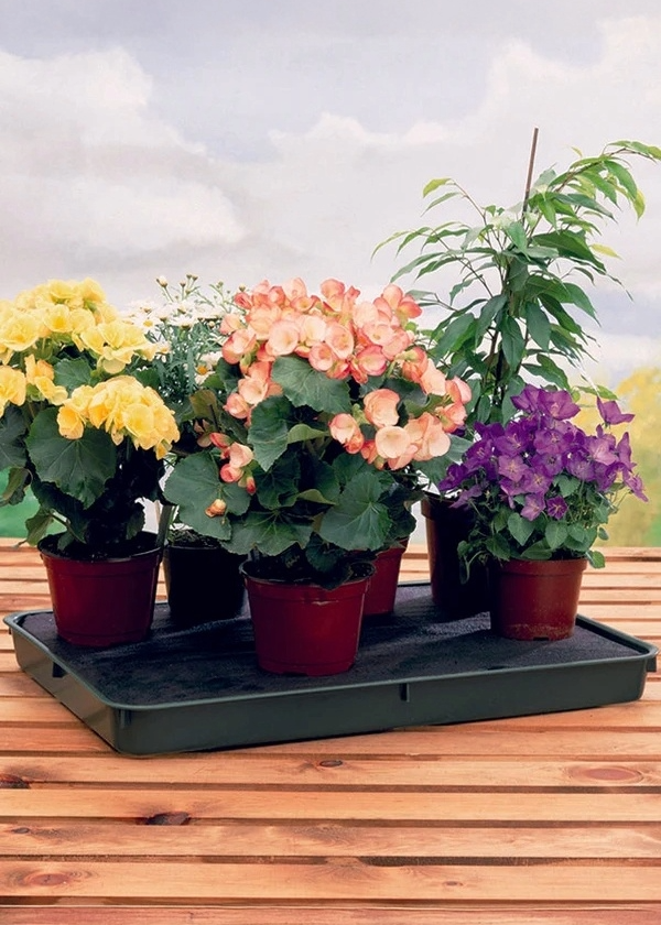 Large Self Watering Tray - Dibleys