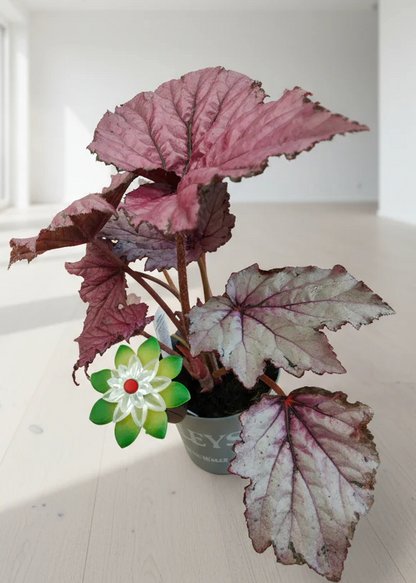 Plant Alarm: Moisture Sensor