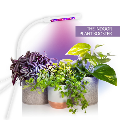 Growlight - Indoor Plant Booster