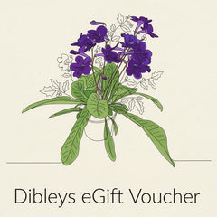 Dibleys eGift Voucher