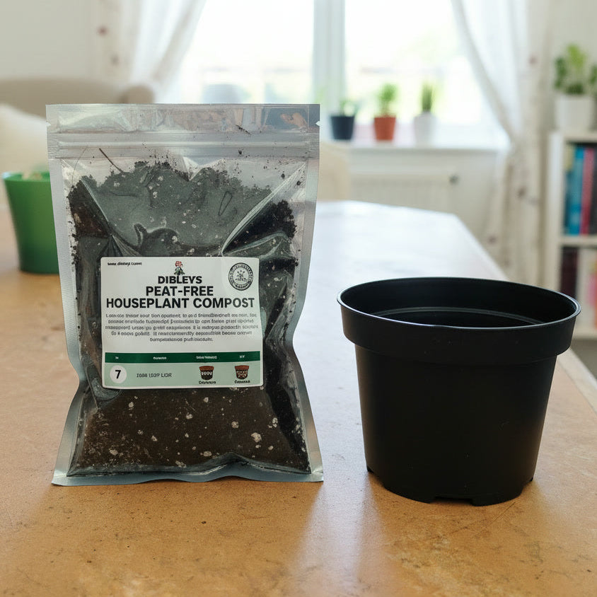 Single Strep Plug Potting Kit – Compost and Shallow Pot