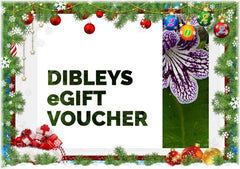 Dibleys eGift Voucher