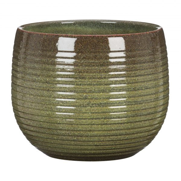 Stylish Ceramic Cache/Cover pots - Wild Jungle - 16cm