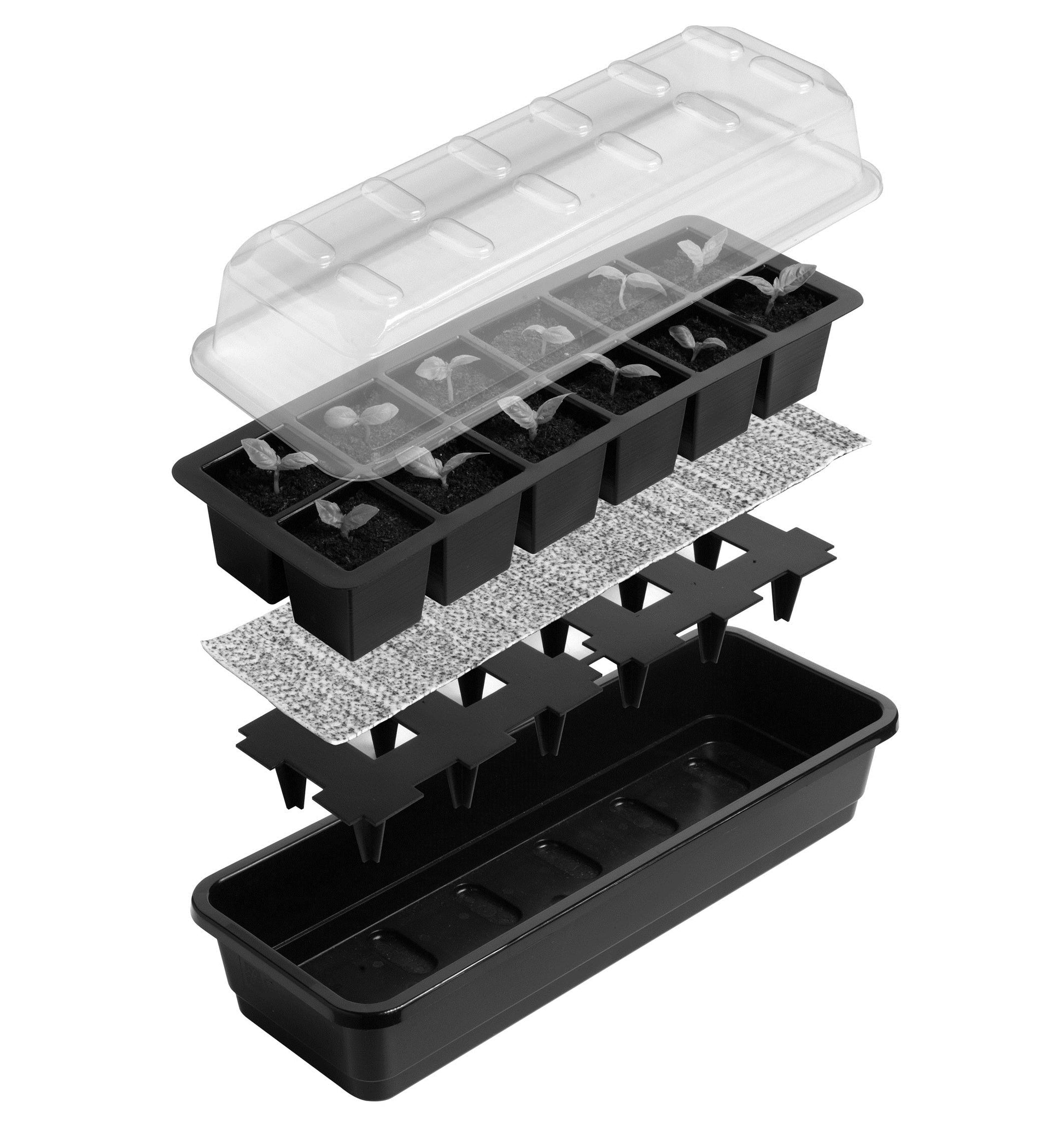 12 Cell Self Watering Seed Tray - Dibleys