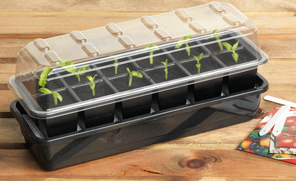 12 Cell Self Watering Seed Tray - Dibleys