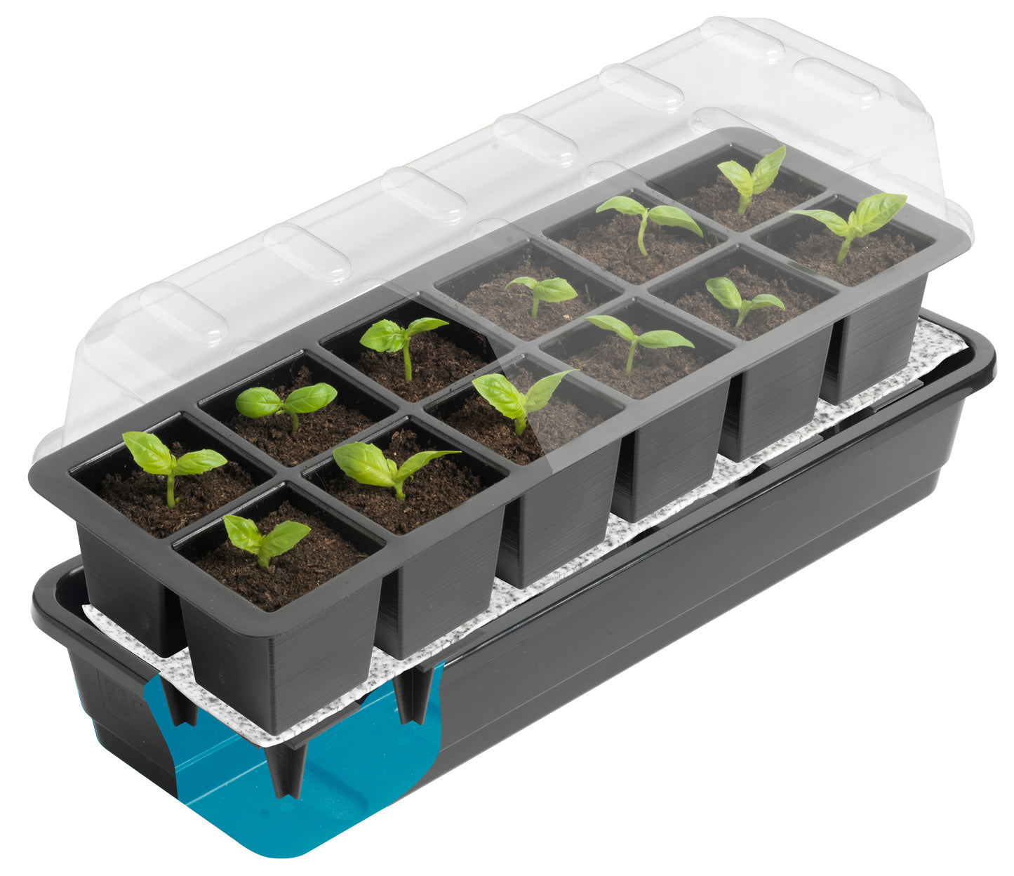 12 Cell Self Watering Seed Tray - Dibleys