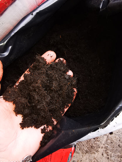 Peat Free Compost (end of season reduction)