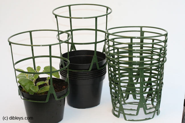 6 Plant Supports and 6 Pots, 12cm diameter - Dibleys