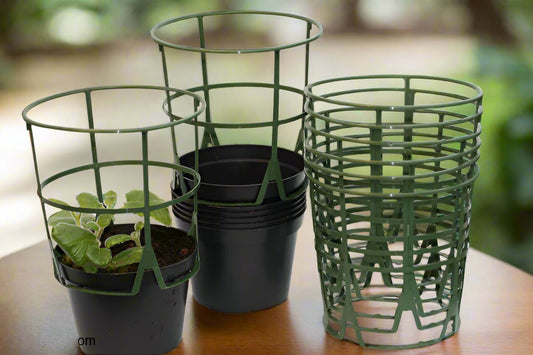 6 Plant Supports and 6 Pots, 12cm diameter - Dibleys