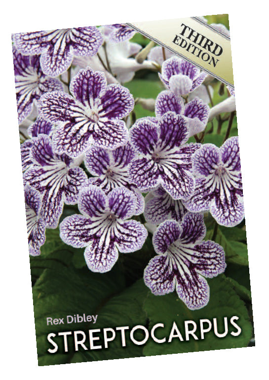 Streptocarpus Book - Dibleys