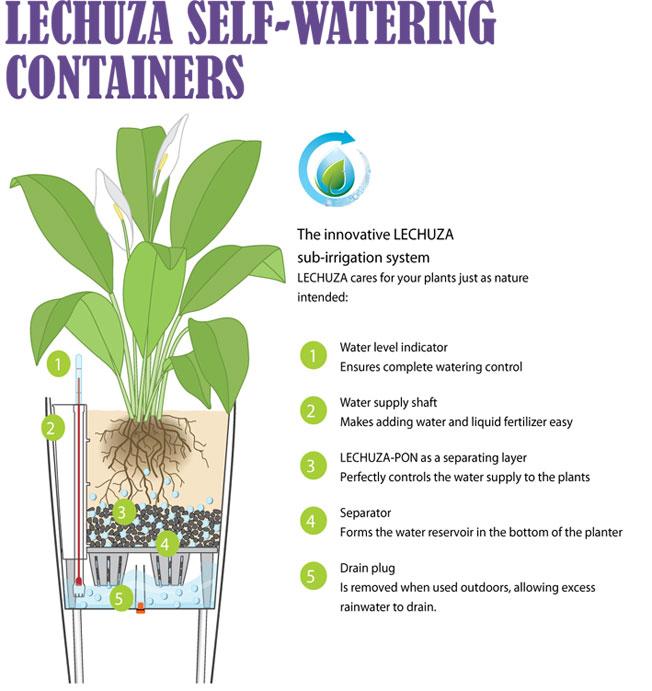 lechuza self watering plant pots Large Self-watering Lechuza Pots (dusty/slightly damaged packaging) – Dibleys